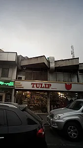 TULIPگل فروشی