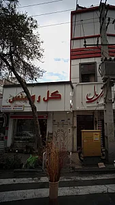 گل رومنس