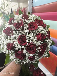 گلسرای اریکا