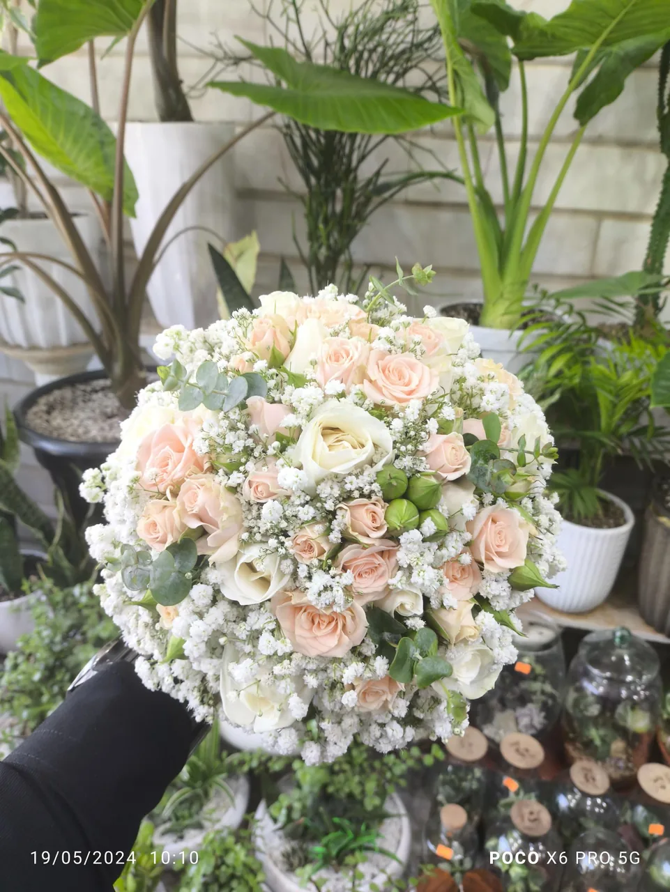گلسرای اریکا - تصویر 3