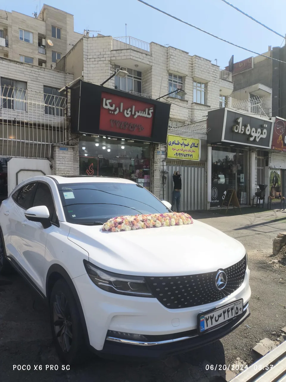 گلسرای اریکا - تصویر 4