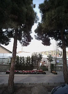 فروشگاه گل و درختچه