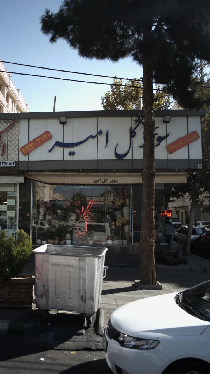 سوپر گل امیر