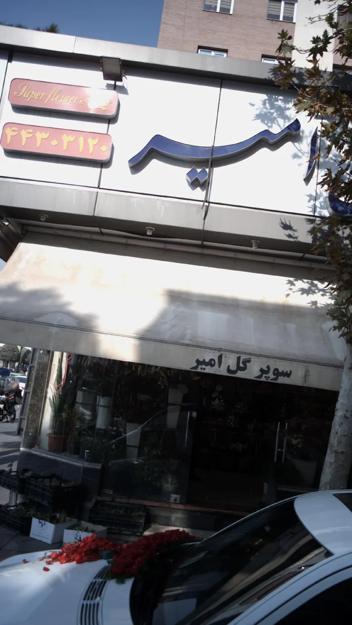 سوپر گل امیر - تصویر 6