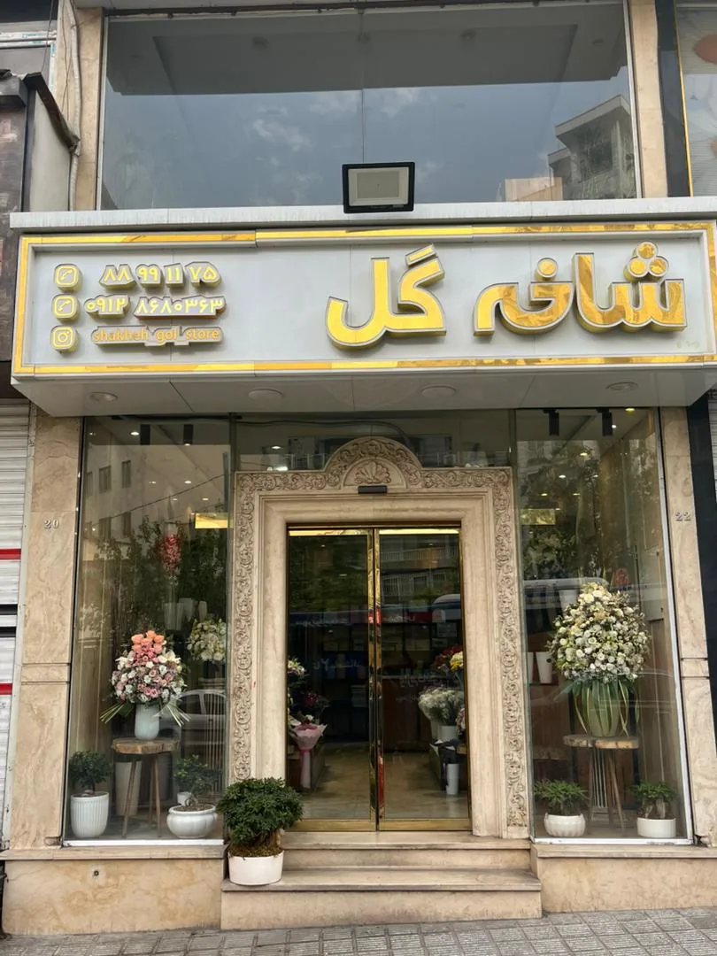 گل فروشی شاخه گل - تصویر 2