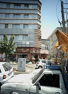 گل پارادیس