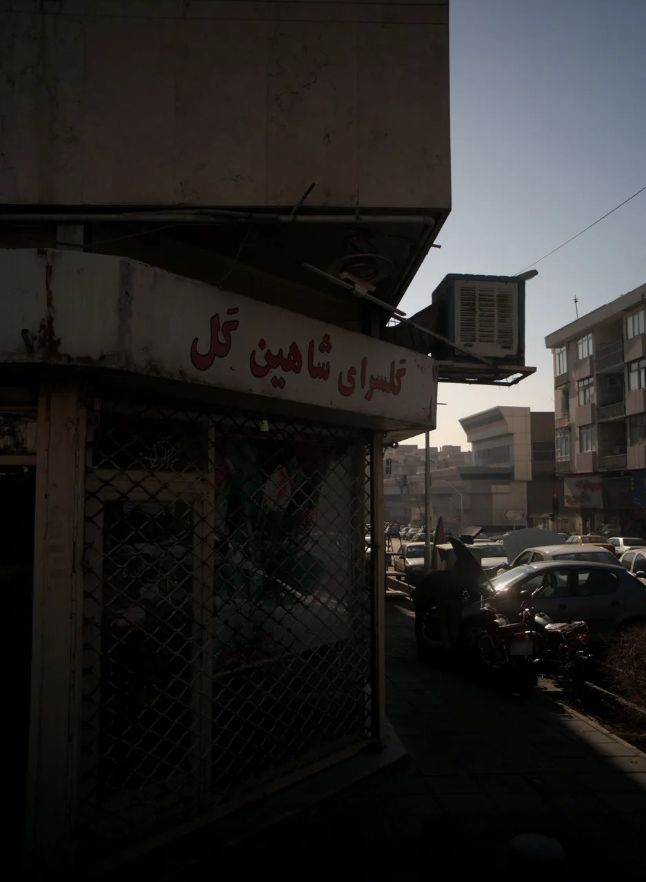 گلسرای شاهین گل