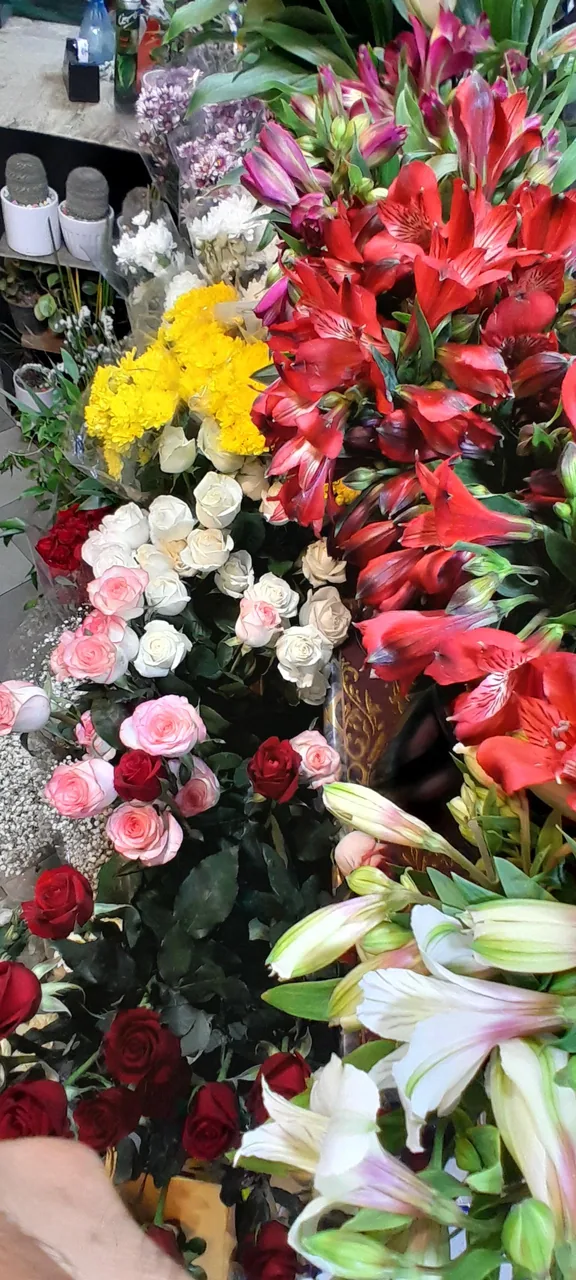 گل سرای عطرا - تصویر 6