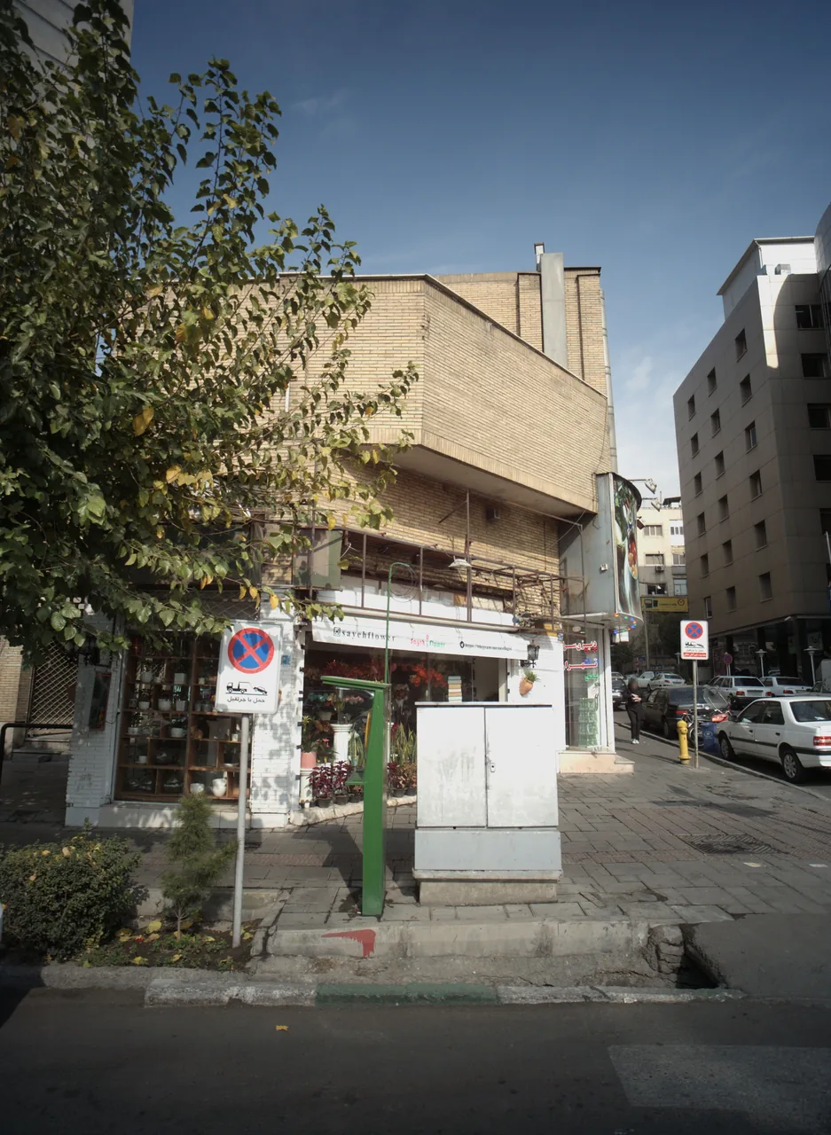 گل فروشی سایه