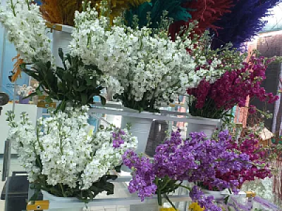 گلفروشی رزجاودان