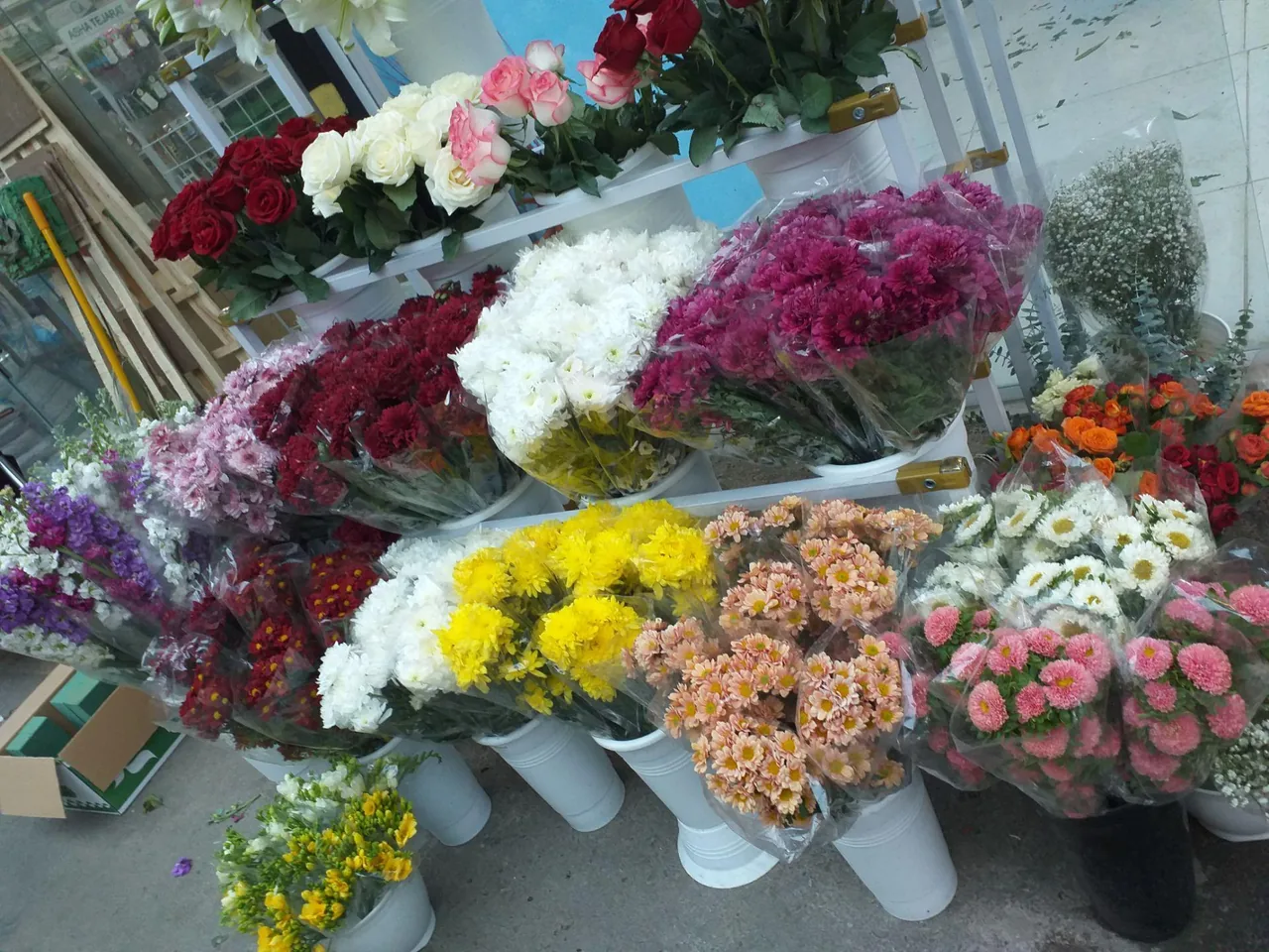 گلفروشی رزجاودان - تصویر 3