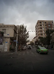 گل فروشی
