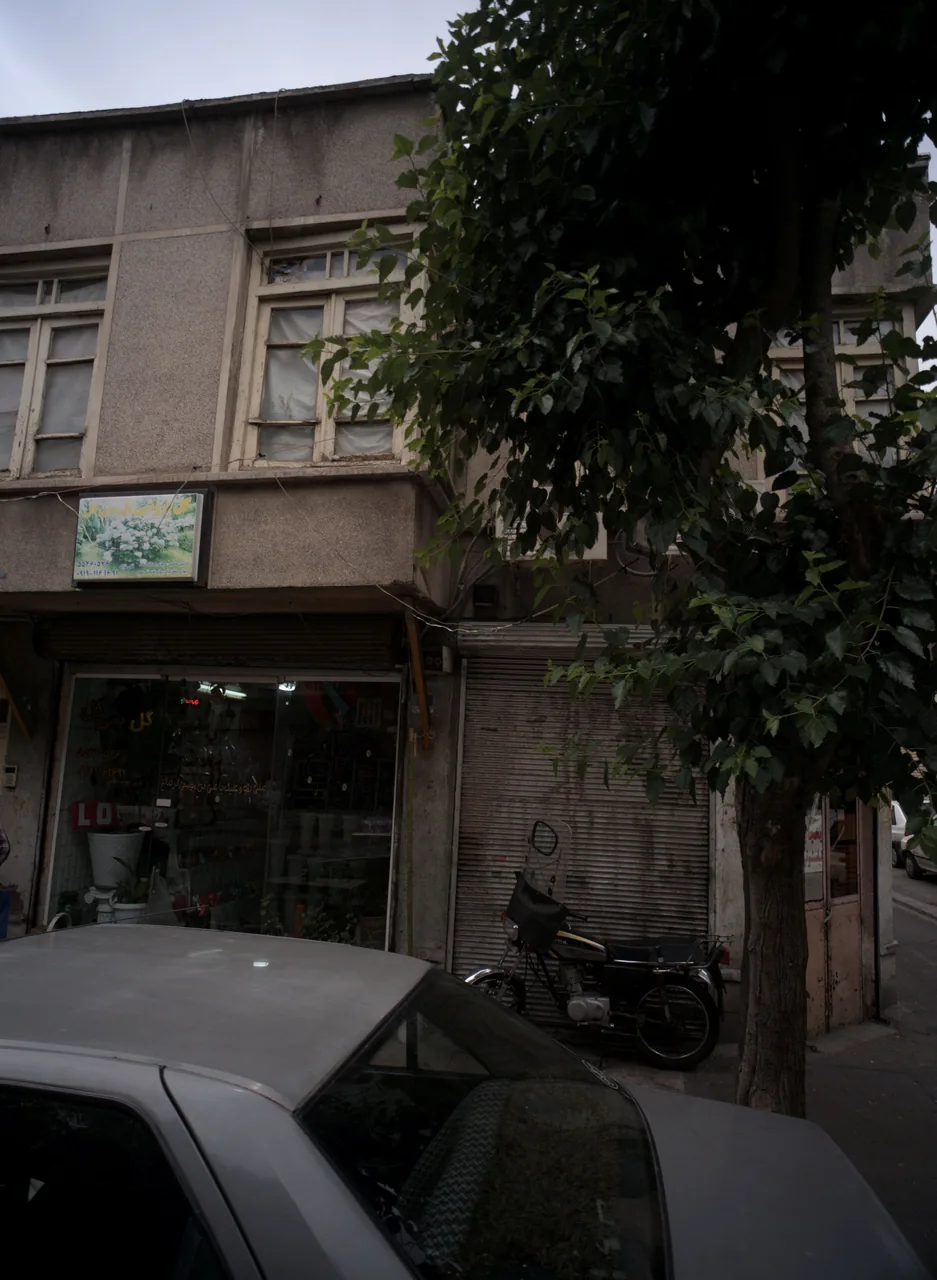 گل فروشی گل سی گل