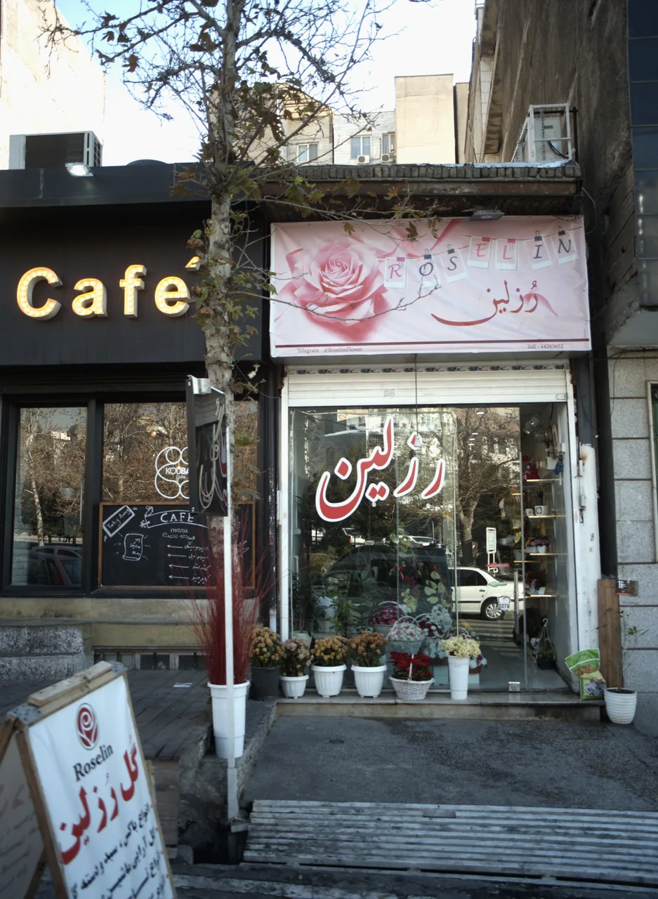 فروشگاه گل رزلین