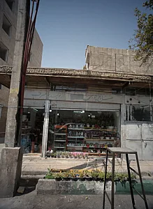 فروشگاه گل و گیاه