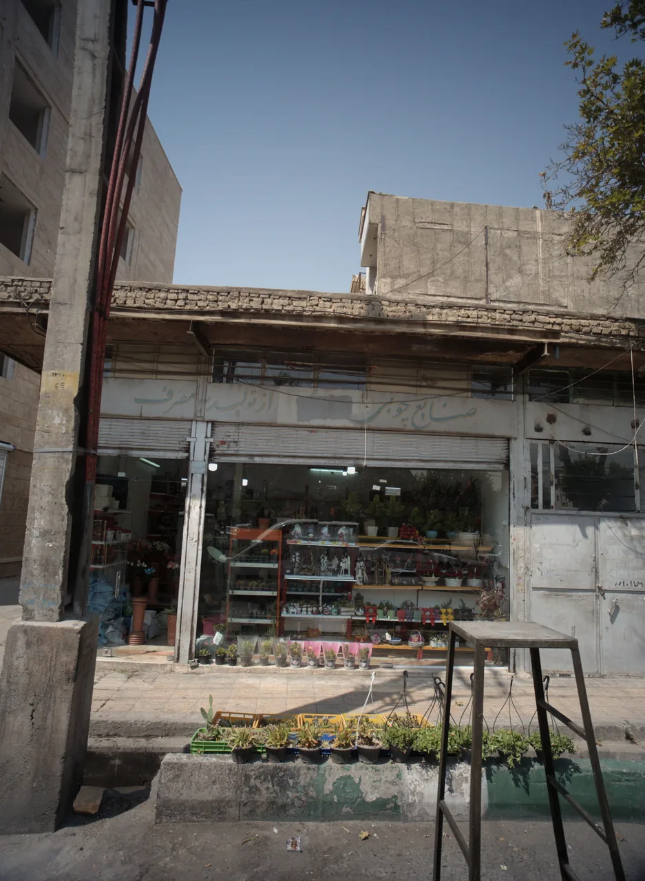 فروشگاه گل و گیاه