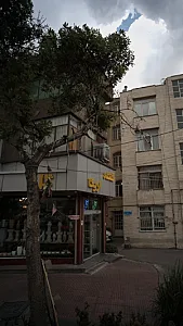 گلکده اریکا