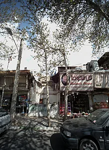 گل شکوفا
