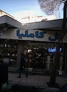 نمایشگاه گل کاملیا
