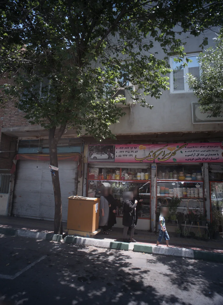 گل سرای کاتلیا