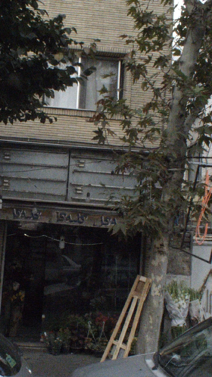 کلبه گل