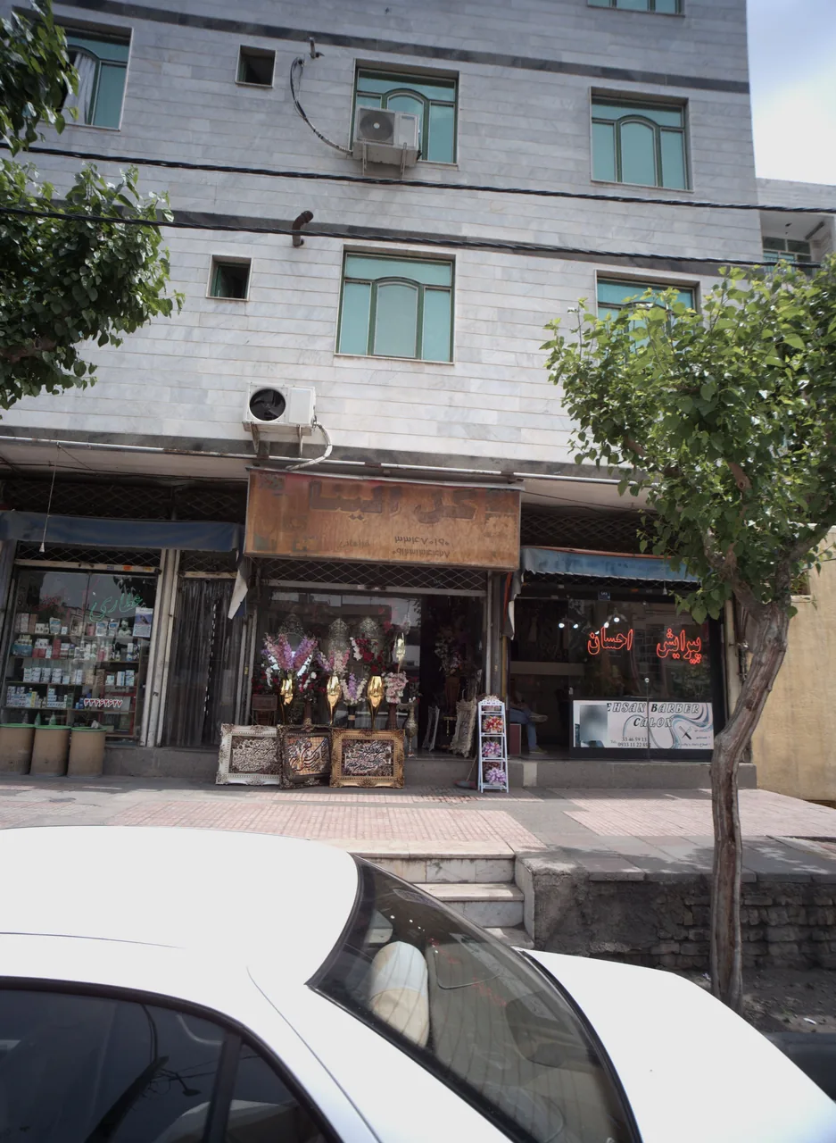 گل الینا