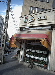 سه گل