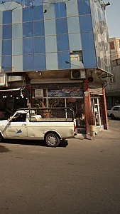 گل شقایق