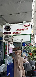 گلسرای لوتوس