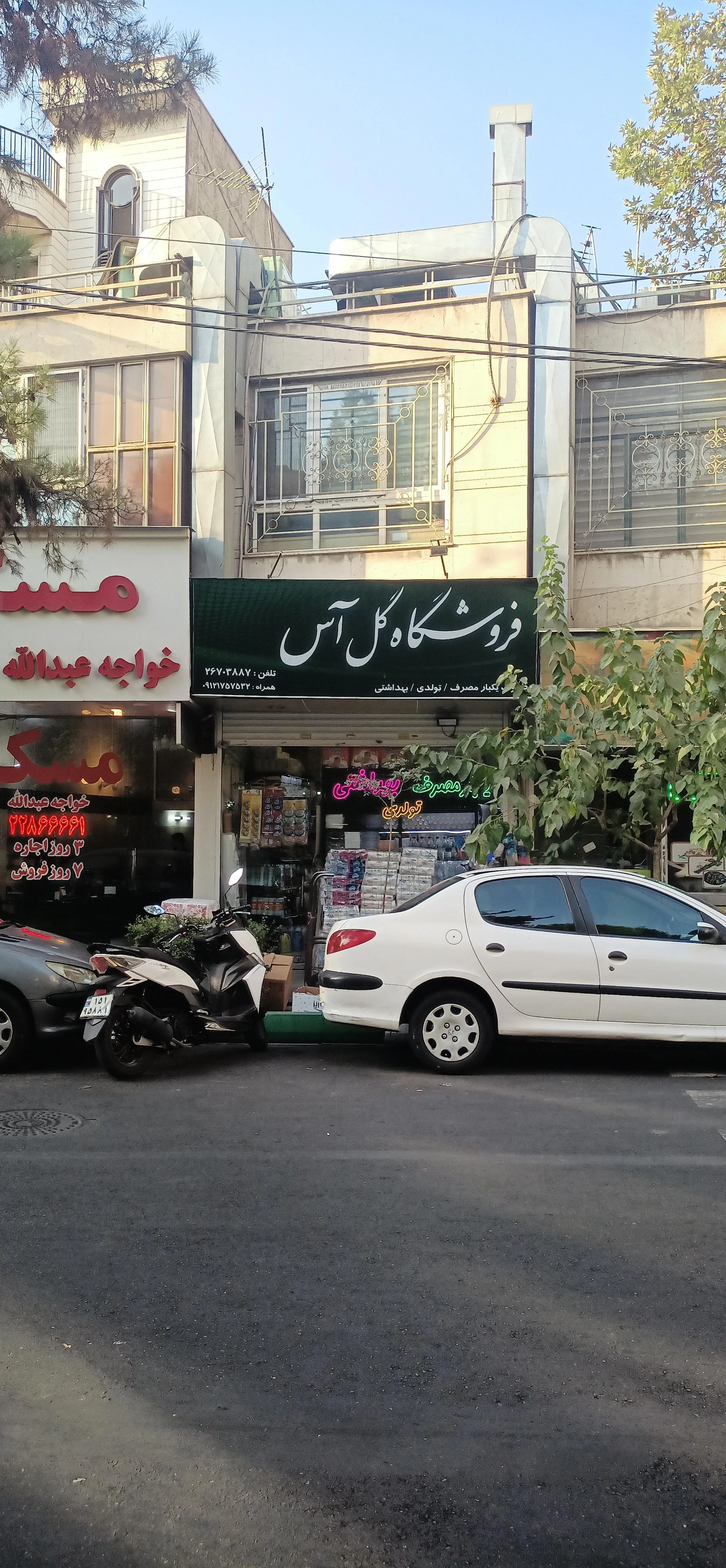 گلسرای لوتوس - تصویر 2