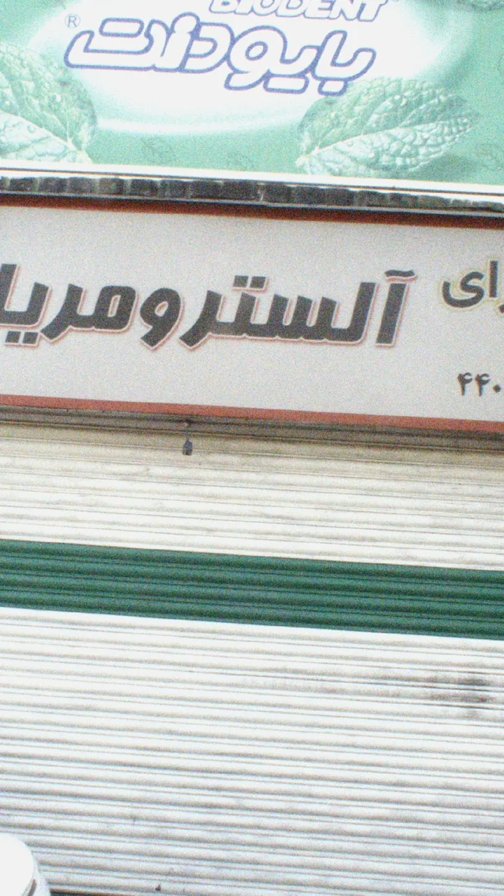 گل سرای آلسترو مریا - تصویر 2