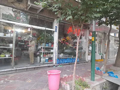 گلزار شکوفه