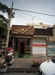 گل لادن