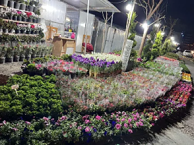 باغ گل وگیاه سادات