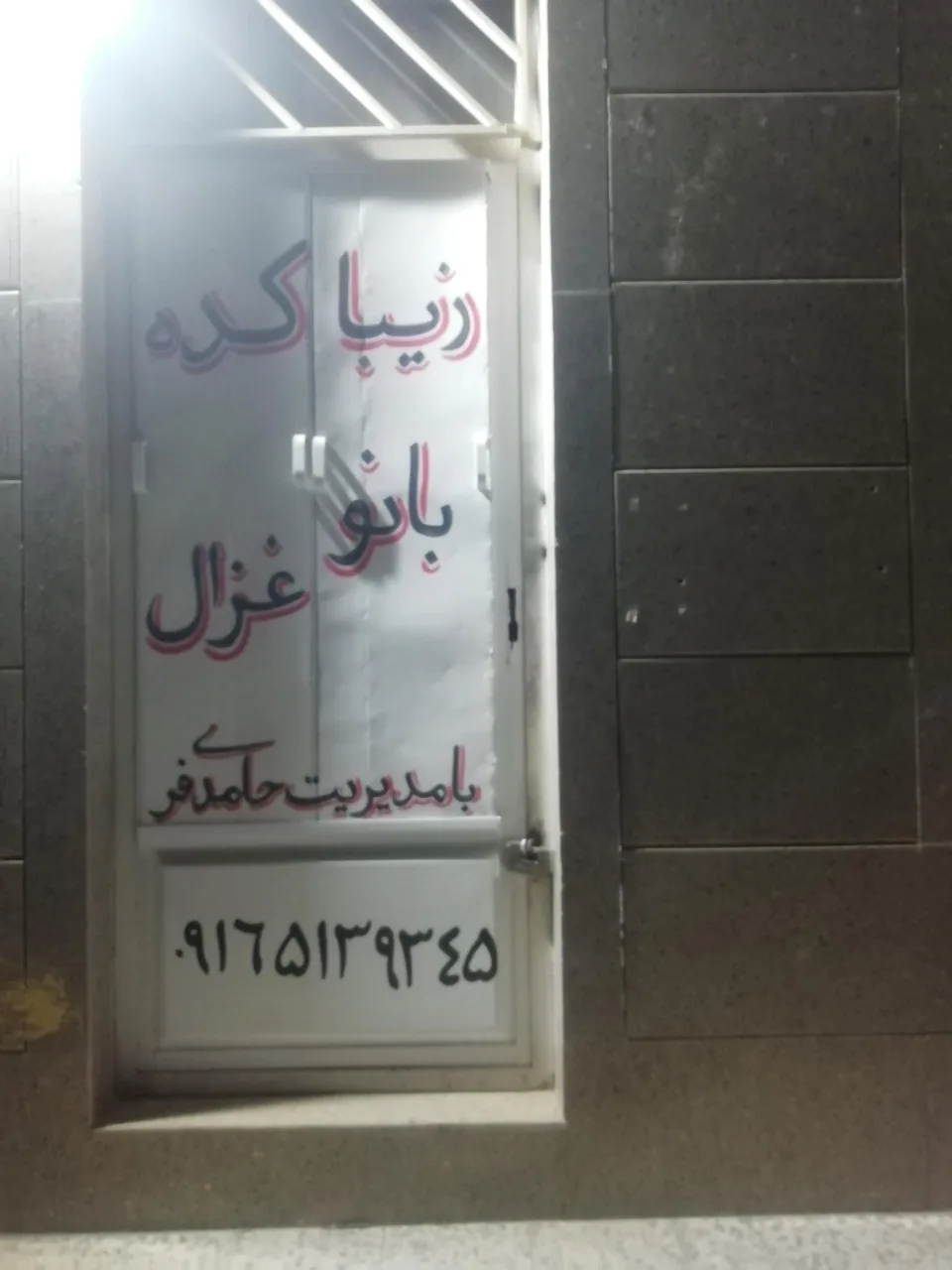زیباکده بانو غزال - تصویر 5