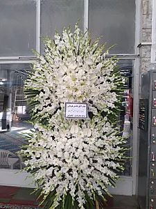گالری گل وگیاه، سلطان