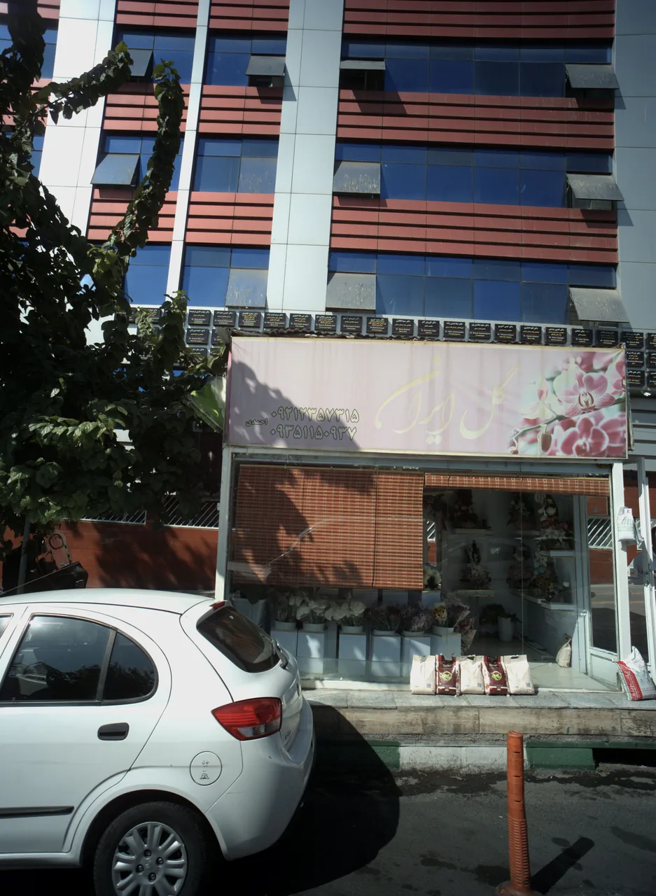 گل ایران