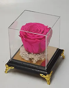 یونی رز