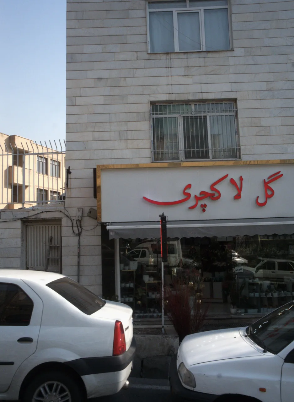 گل لاکچری
