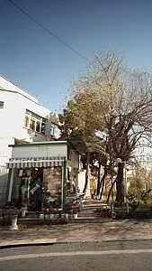 گل فروشی