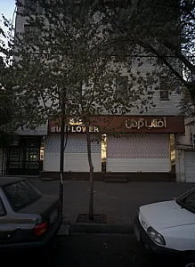 گل فروشی آفتاب گردان