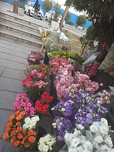 گل فروشی نوین