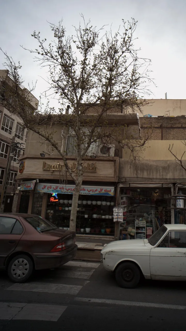 گل سرای شیدا