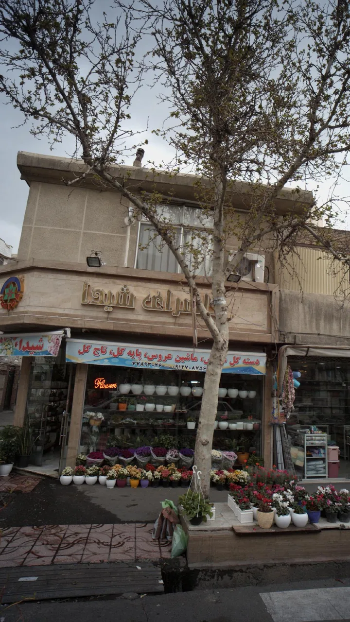 گل سرای شیدا - تصویر 2