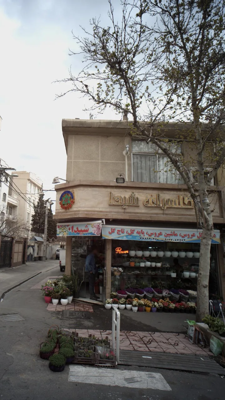 گل سرای شیدا - تصویر 3