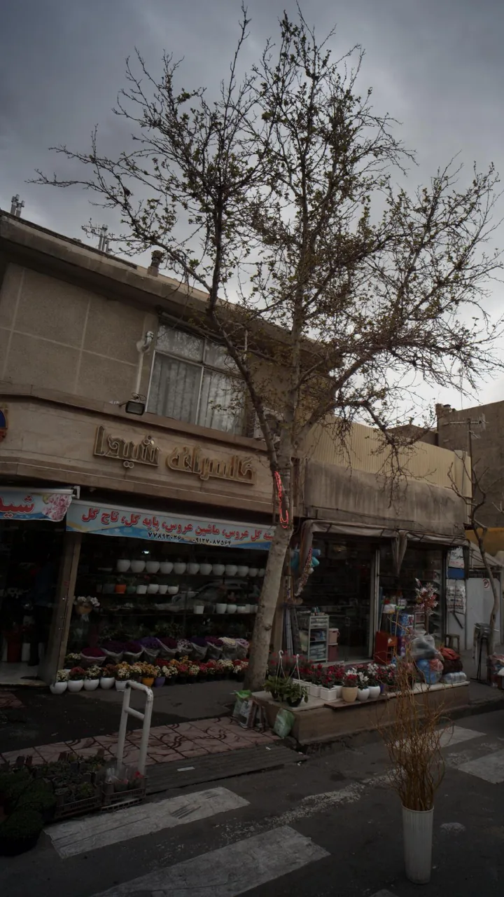 گل سرای شیدا - تصویر 5