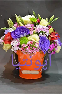 گل فروشی اپونتیا