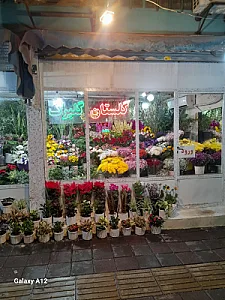 گلفروشی گلستان