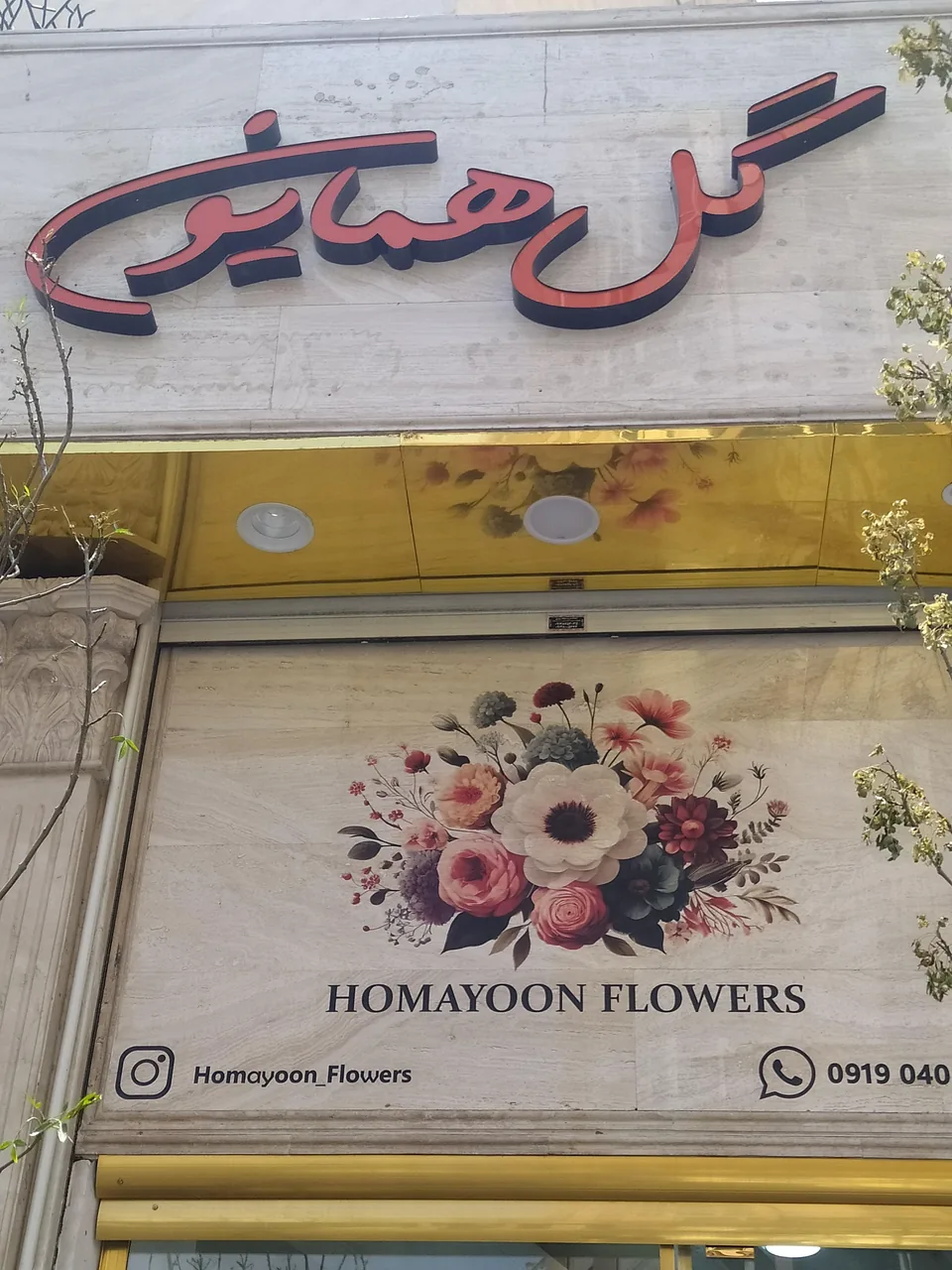 گل همایون - تصویر 3