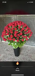 گلسرای محمدی